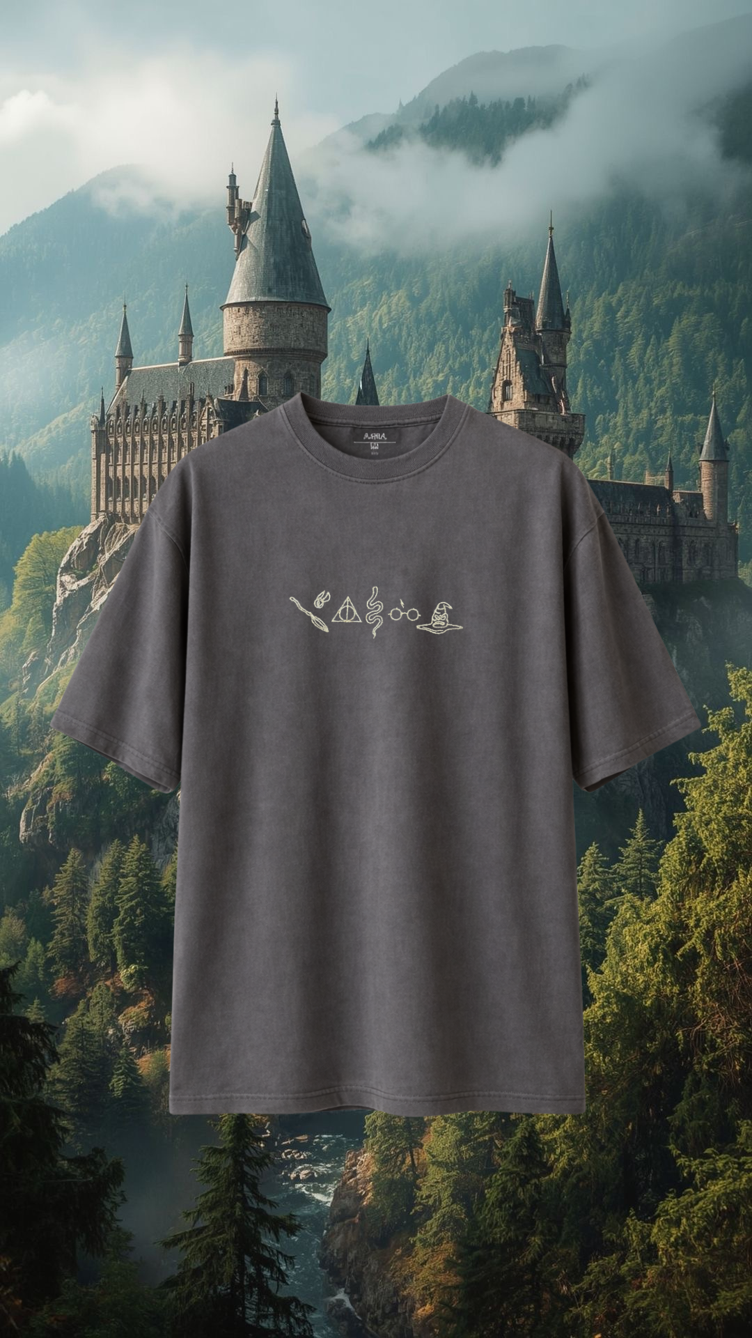 Harry Potter Over Size T